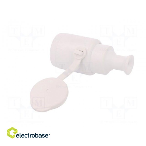 Connector: AC supply | female | socket | 2P+PE | 250VAC | 16A | white image 4