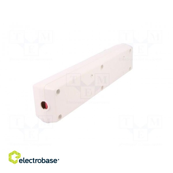 Connector: AC supply | female | splitter | 2P+PE | 250VAC | 16A | white image 4