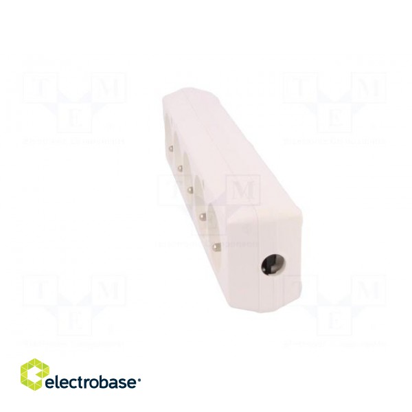 Connector: AC supply | female | splitter | 2P+PE | 250VAC | 16A | white фото 3