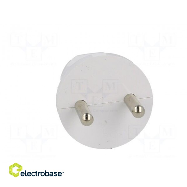 Connector: AC supply | male | plug | 2P | 230VAC | 16A | Type: round | white фото 9