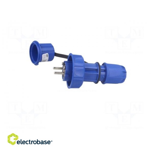 Connector: AC supply | male | plug | 2P+PE | 250VAC | 16A | blue | PIN: 3 фото 3