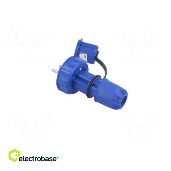 Connector: AC supply | male | plug | 2P+PE | 250VAC | 16A | blue | PIN: 3 image 4