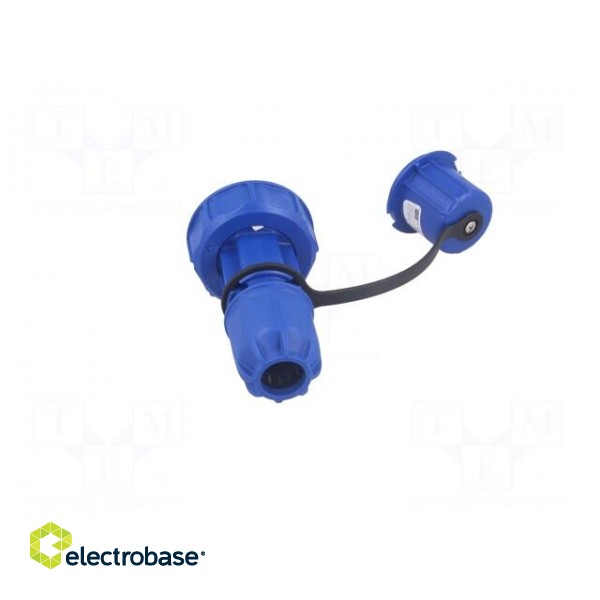 Connector: AC supply | male | plug | 2P+PE | 250VAC | 16A | blue | PIN: 3 image 5