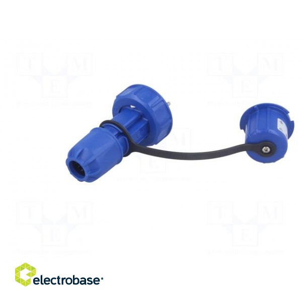 Connector: AC supply | male | plug | 2P+PE | 250VAC | 16A | blue | PIN: 3 image 6