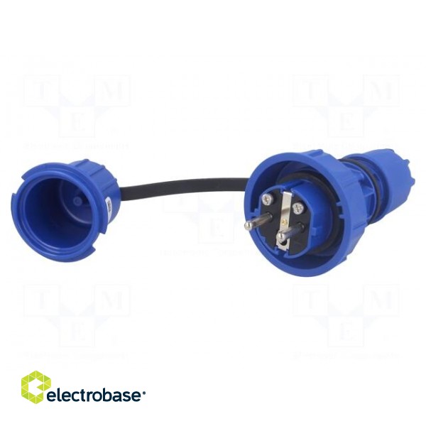 Connector: AC supply | male | plug | 2P+PE | 250VAC | 16A | blue | PIN: 3 image 1