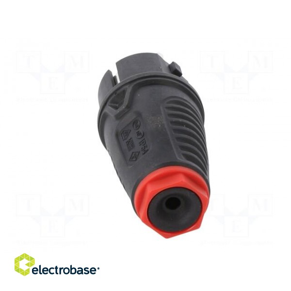 Connector: AC supply | male | plug | 2P+PE | 250VAC | 16A | for cable image 5