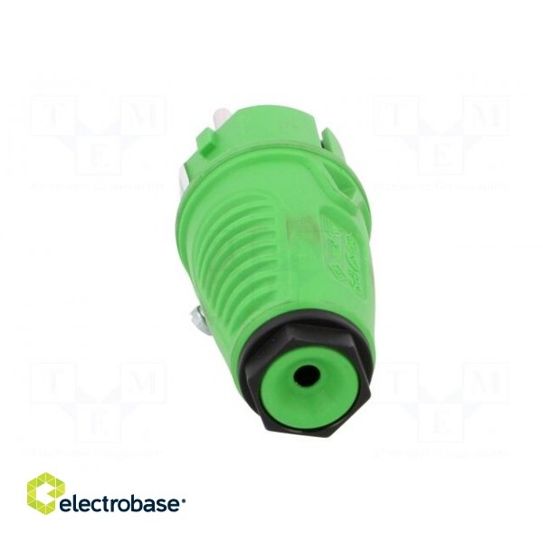 Connector: AC supply | male | plug | 2P+PE | 250VAC | 16A | for cable image 5