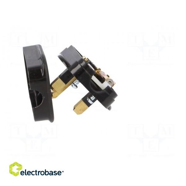 Connector: AC supply | plug | 2P+PE | 250VAC | 3A | black | PIN: 3 | angled image 10