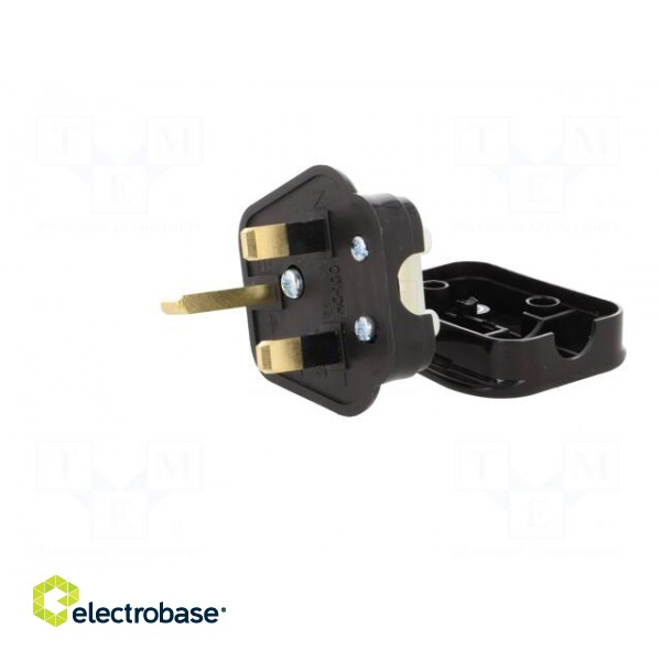 Connector: AC supply | plug | 2P+PE | 250VAC | 5A | black | PIN: 3 | angled image 4