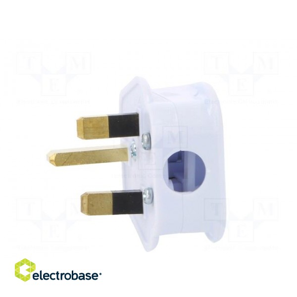 Connector: AC supply | plug | 2P+PE | 250VAC | 5A | white | PIN: 3 | angled фото 3