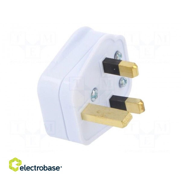 Connector: AC supply | plug | 2P+PE | 250VAC | 5A | white | PIN: 3 | angled фото 8