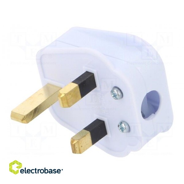 Connector: AC supply | plug | 2P+PE | 250VAC | 5A | white | PIN: 3 | angled фото 1