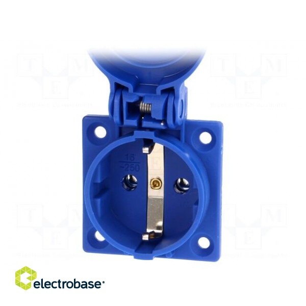 Connector: AC supply | socket | 2P+PE | 250VAC | 16A | blue | PIN: 3 image 2