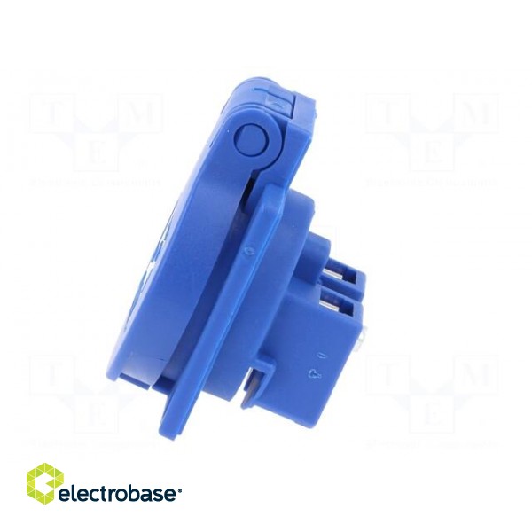 Connector: AC supply | socket | 2P+PE | 250VAC | 16A | blue | PIN: 3 paveikslėlis 4