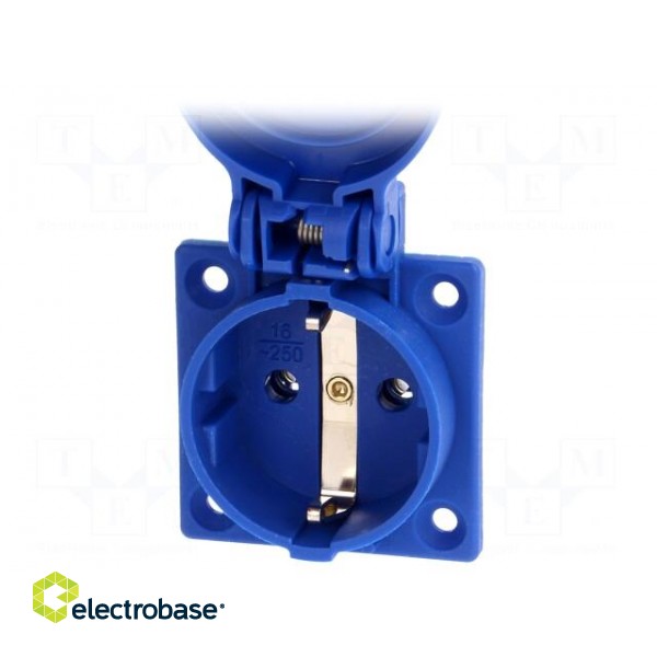 Connector: AC supply | socket | 2P+PE | 250VAC | 16A | blue | PIN: 3 image 2