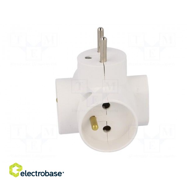 Connector: AC supply | splitter | 2P,2P+PE | white | Output: 4x socket image 3