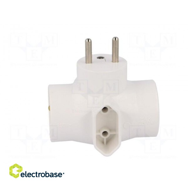 Connector: AC supply | splitter | 2P,2P+PE | white | Output: 4x socket image 5