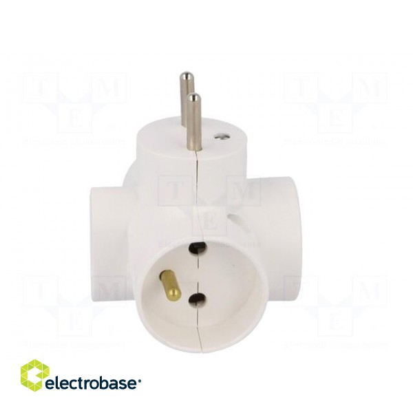 Connector: AC supply | splitter | 2P,2P+PE | white | Output: 4x socket image 7