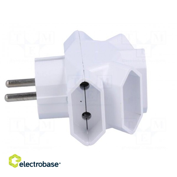 Connector: AC supply | splitter | 2P | 250VAC | 6A | Type: flat | white paveikslėlis 3