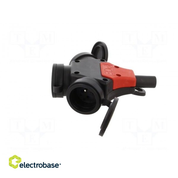 Connector: AC supply | splitter | 2P+PE | 250VAC | 16A | black,red | IP44 image 3