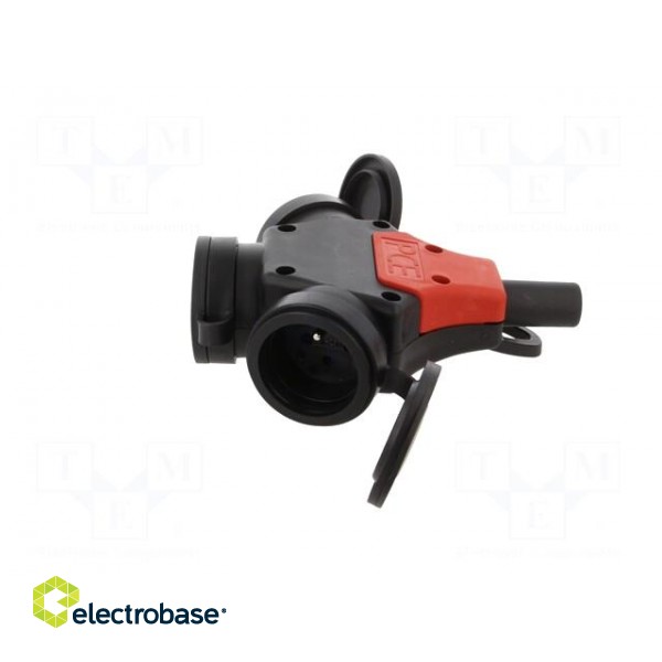 Connector: AC supply | splitter | 2P+PE | 250VAC | 16A | black,red | IP44 paveikslėlis 3