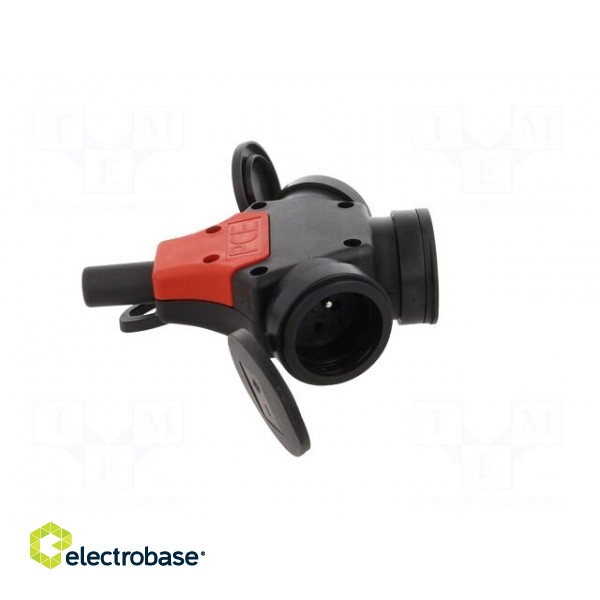 Connector: AC supply | splitter | 2P+PE | 250VAC | 16A | black,red | IP44 image 7