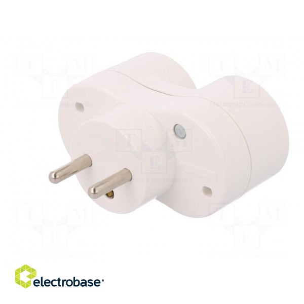 Connector: AC supply | splitter | 2P+PE | 250VAC | 16A | white paveikslėlis 2