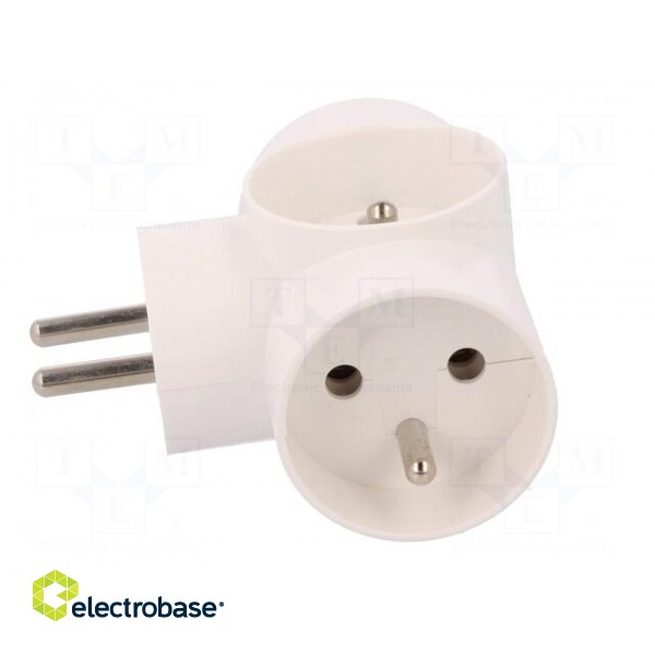 Connector: AC supply | splitter | 2P+PE | 250VAC | 16A | white paveikslėlis 3