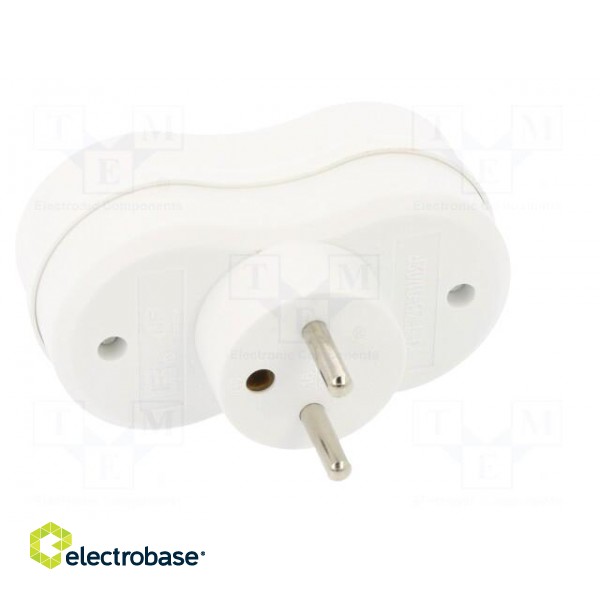 Connector: AC supply | splitter | 2P+PE | 250VAC | 16A | white image 5