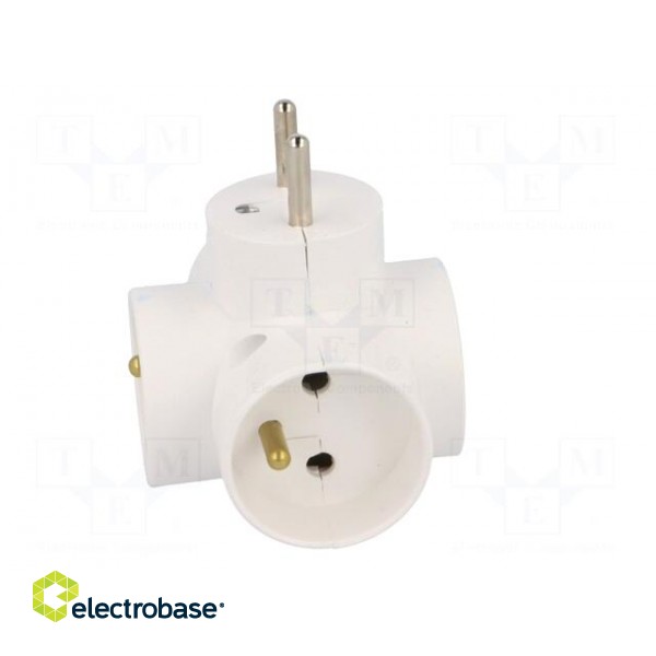 Connector: AC supply | splitter | 2P+PE | white | Output: 4x socket фото 3