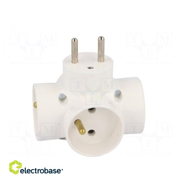 Connector: AC supply | splitter | 2P+PE | white | Output: 4x socket фото 9
