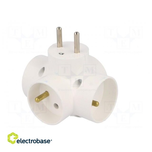 Connector: AC supply | splitter | 2P+PE | white | Output: 4x socket image 2