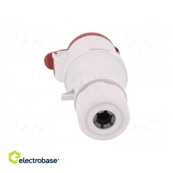 Connector: AC supply 3-phase | plug | female | 16A | 400VAC | IEC 60309 image 5