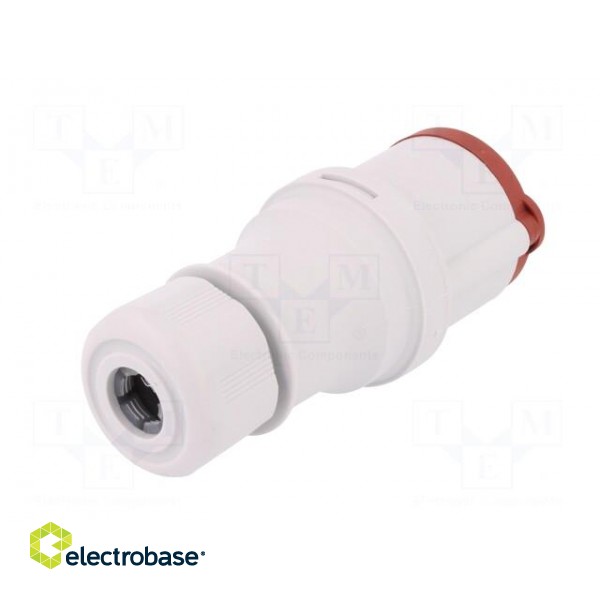 Connector: AC supply 3-phase | plug | female | 16A | 400VAC | IEC 60309 image 6