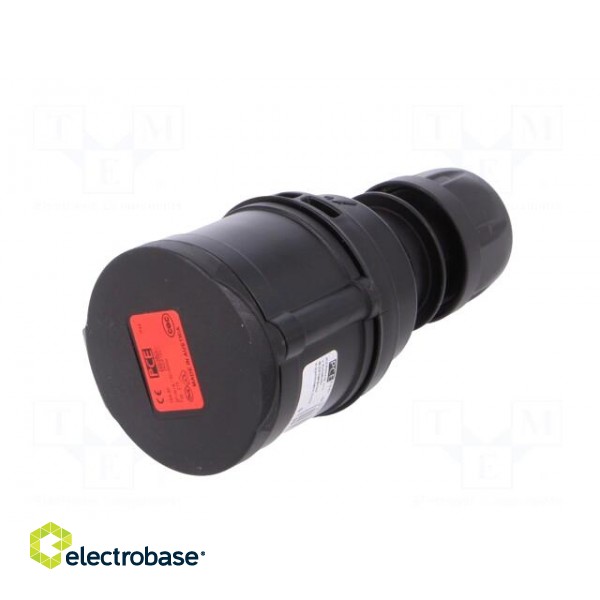 Connector: AC supply 3-phase | plug | female | 16A | 400VAC | IP44 paveikslėlis 2