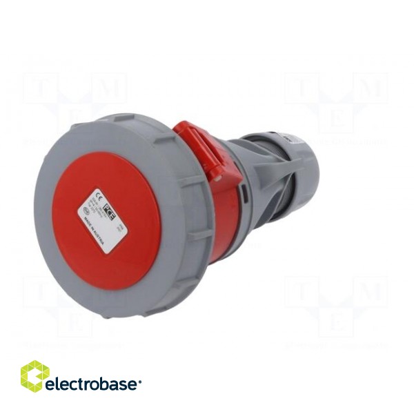 Connector: AC supply 3-phase | plug | female | 32A | 400VAC | IP66,IP67 paveikslėlis 2