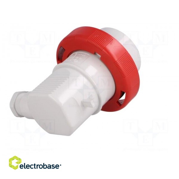 Connector: AC supply 3-phase | plug | male | 16A | 415VAC | IEC 60309 image 6