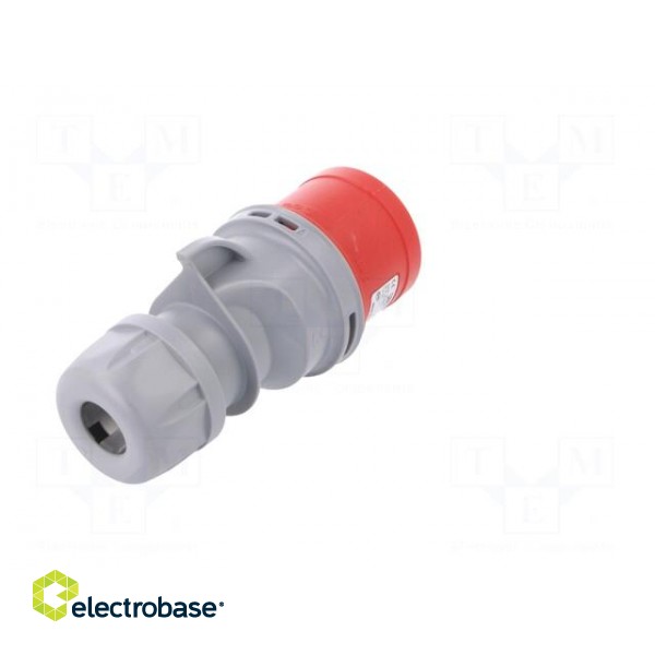 Connector: AC supply 3-phase | plug | male | 32A | 400VAC | IP44,IP54 image 6