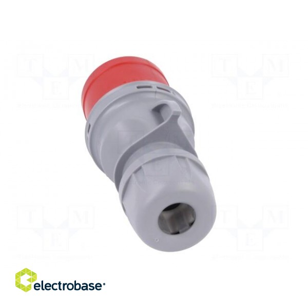 Connector: AC supply 3-phase | plug | male | 32A | 400VAC | IEC 60309 paveikslėlis 5