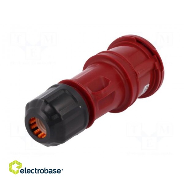 Connector: AC supply 3-phase | socket | female | 16A | 380/415VAC image 6