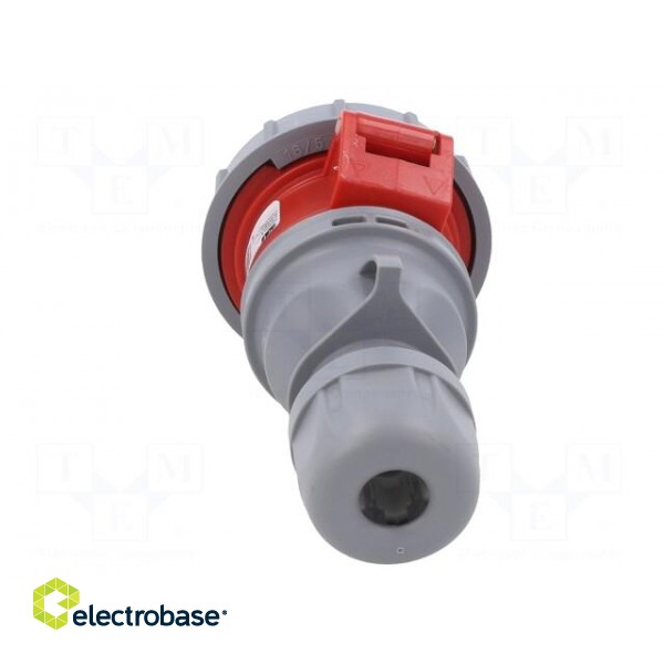 Connector: AC supply 3-phase | socket | female | 16A | 400VAC | IP67 image 5