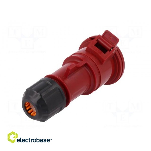 Connector: AC supply 3-phase | socket | female | 32A | 380/415VAC image 6