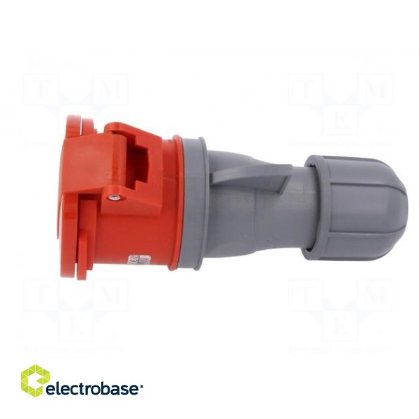 Connector: AC supply 3-phase | socket | female | 32A | 380/415VAC фото 3