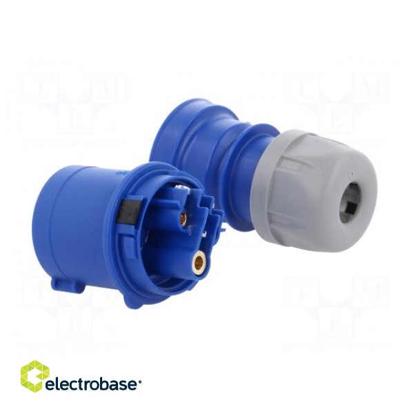 Connector: AC supply | plug | male | 16A | 230VAC | IEC 60309 | IP44 image 4