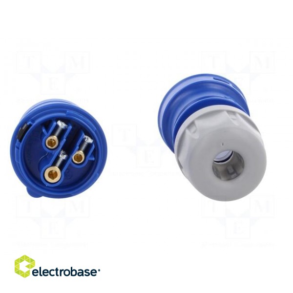 Connector: AC supply | plug | male | 16A | 230VAC | IEC 60309 | IP44 image 5