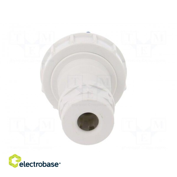 Connector: AC supply | plug | male | 16A | 400VAC | IEC 60309 | IP67 image 5