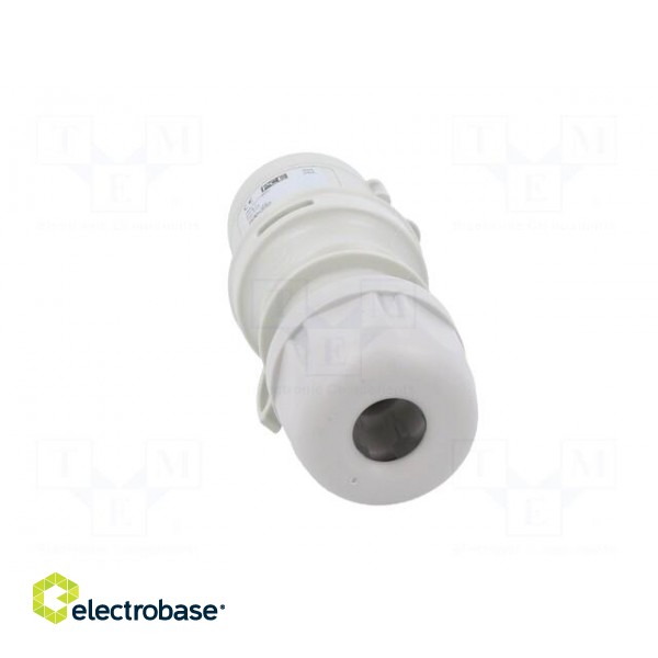 Connector: AC supply | plug | male | 16A | 50VAC | IEC 60309 | IP44 | PIN: 3 image 5