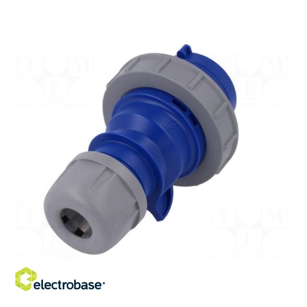 Connector: AC supply | plug | male | 32A | 230VAC | IEC 60309 | IP67 image 6