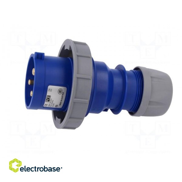 Connector: AC supply | plug | male | 32A | 230VAC | IEC 60309 | IP67 image 3