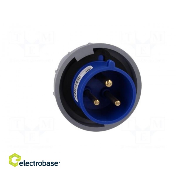 Connector: AC supply | plug | male | 32A | 230VAC | IEC 60309 | IP67 image 9